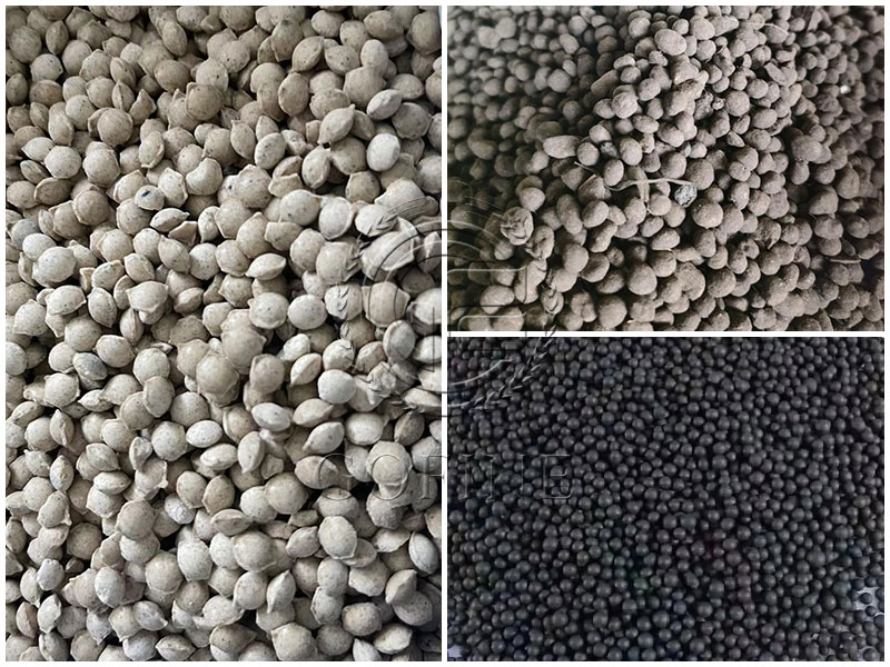 fertilizer granule